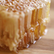 Beeswax Honeycomb - VideoHive Item for Sale