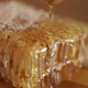 Dripping Honey Dipper - VideoHive Item for Sale