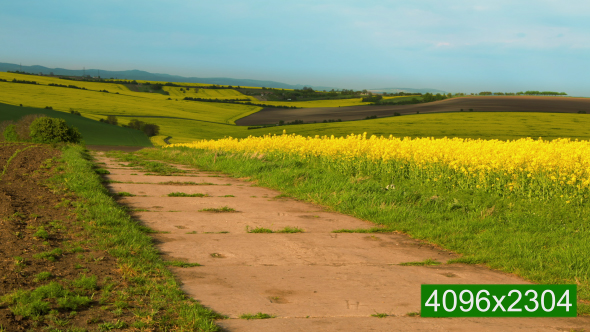 Clouds are Running over Flowering Fields