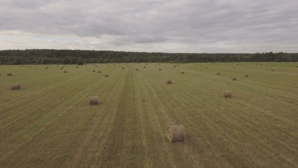 Rolls Of Haystacks On The field.Aerial Video.