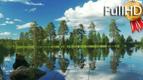 Beautiful Lake Landscape With Forest on the Bank