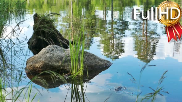 Stone in the Water Near Lake Shore