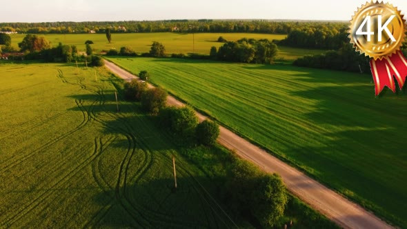 Flying Over the Road Which is in the Field