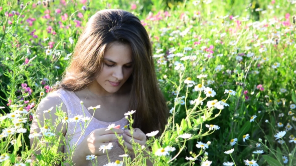 Girl Tells Fortunes On a Camomile Flower On The Meadow