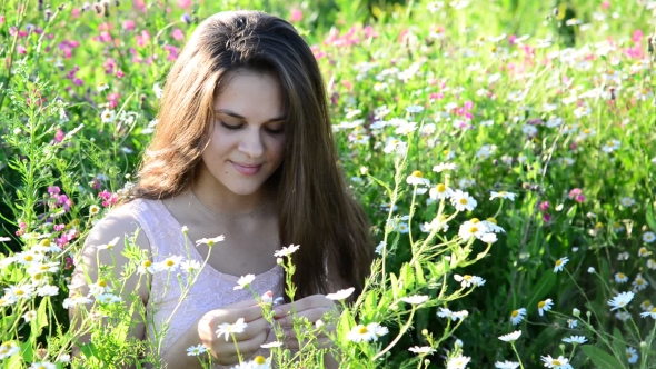 Girl Tells Fortunes On a Camomile Flower On The Meadow