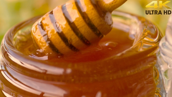 Jar of Honey with Honey Dipper, Limetree Leaves on Background