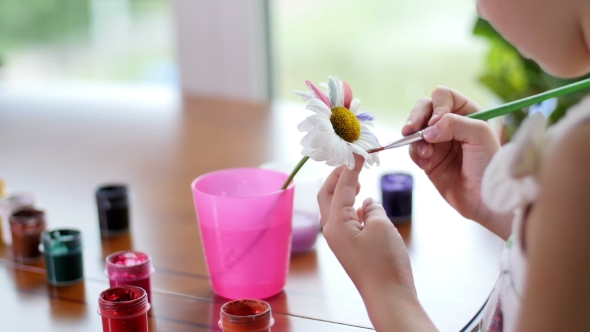 Little Girl Draws Paints On Camomile Petals