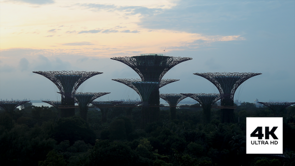 Gardens by the Bay Sunrise Timelapse