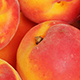 Apricot - VideoHive Item for Sale