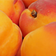 Apricots - VideoHive Item for Sale