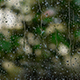Rain On Glass - VideoHive Item for Sale