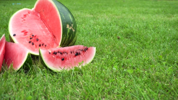 Sliced Watermelon On Grass
