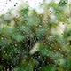 Rain On Glass - VideoHive Item for Sale