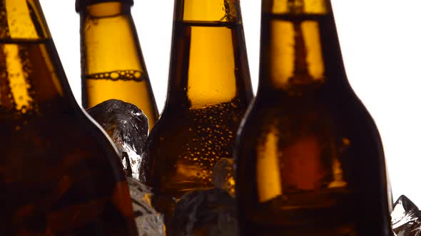 Few Bottles of Dark Beer in Pieces of Ice. White Background. Silhouette. Close Up