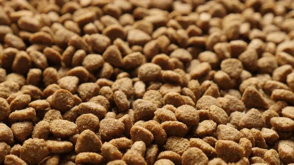 Pellets for cats or dogs close-up 2160p 30fps UltraHD  tilting footage - Slow tilt on pet dry food m