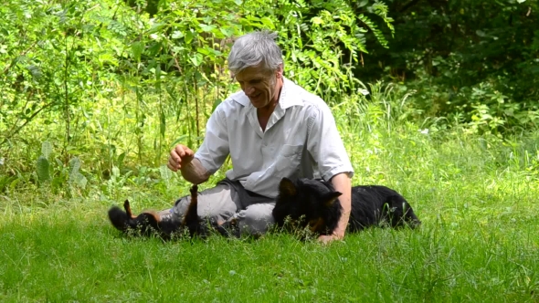 Older Man Sitting On Grass And Playing With Dogs