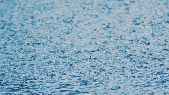 Rain Drops On Water