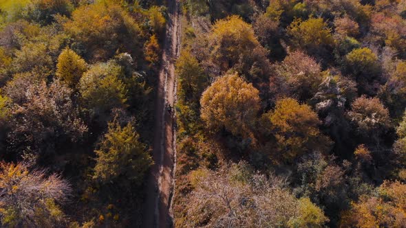 Aerial View of Cyclist in the Mountain Landscape with Autumn Forest