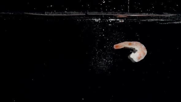 Vibrant shrimp being dropped into water in slow motion.