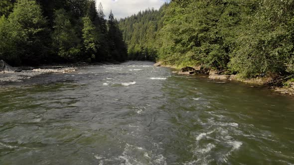 Mountain River Flowing Through Forest