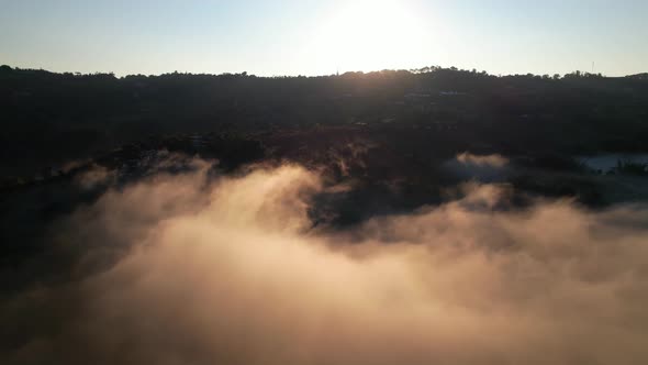 4K Aerial view of the misty sunrise in the forest.