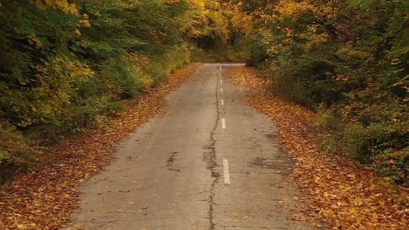 Flight Low Over  Autumn Forest And Old Asphalt Road