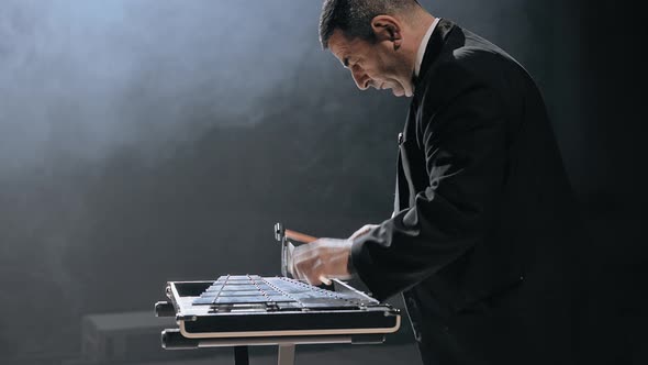 Man Musician Playing Metallophone