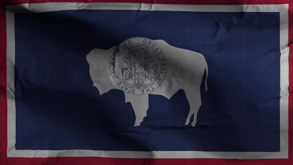 Wyoming State Flag 4K