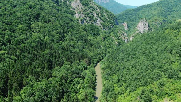 Aerial Across the River Canyon and Forest in Summer
