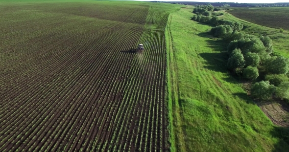 Tractor Plowing a Field