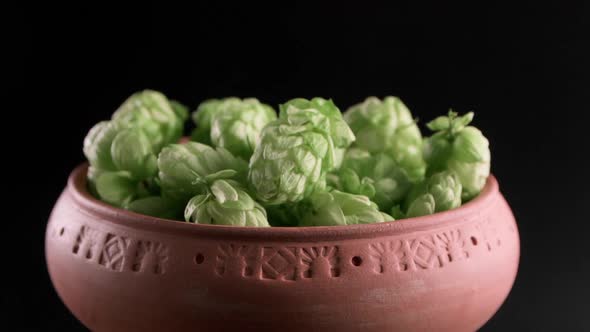 Hops In A Clay Pot