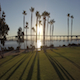 San Diego Palm Trees Sun Rise 005 - VideoHive Item for Sale