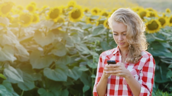 Rural Woman Typing Text On Your Phone. Against The Backdrop Of a Field Of Sunflowers