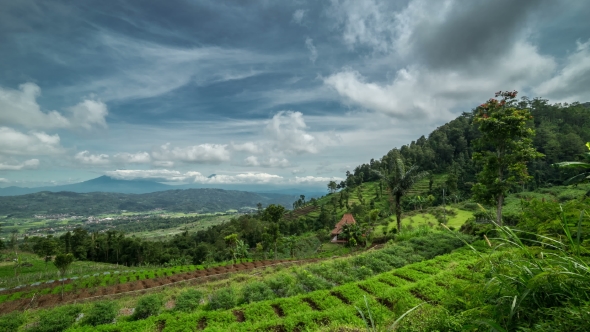 Panoramic View Of The Cascade Field In The Mountains.   - Java, Indonesia, June 2016. alt