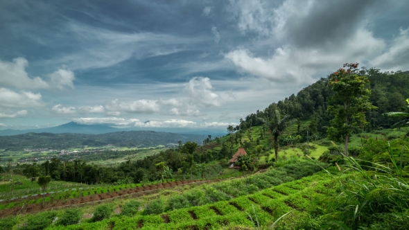 Panoramic View Of The Cascade Field In The Mountains.   - Java, Indonesia, June 2016.