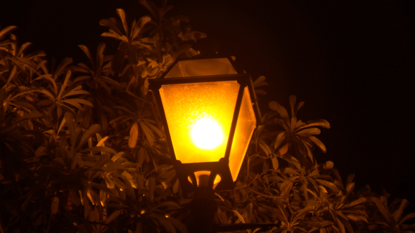 Lamp at Night