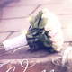 Wedding Album - VideoHive Item for Sale