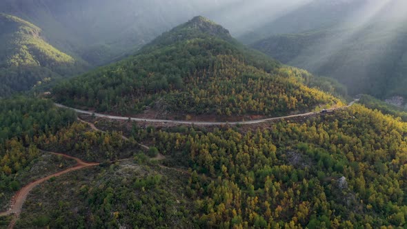 Autumn Forest Aerial View 4 K