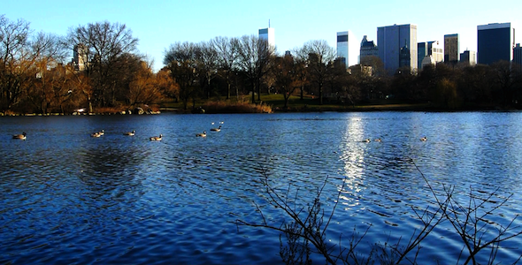 NYC Central Park Lake 3