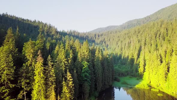 Aerial View Carpathian Mountings in Summer