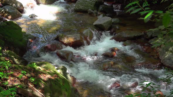 Fresh and potable water between rocks and vegetation in a river free of contamination in Bonao Domin