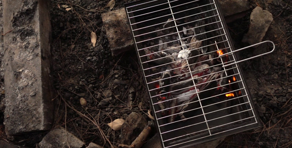 Barbecue Coal Fire 6 alt