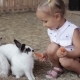 Cute Little Girl Feeding Rabbit From The Hand - VideoHive Item for Sale