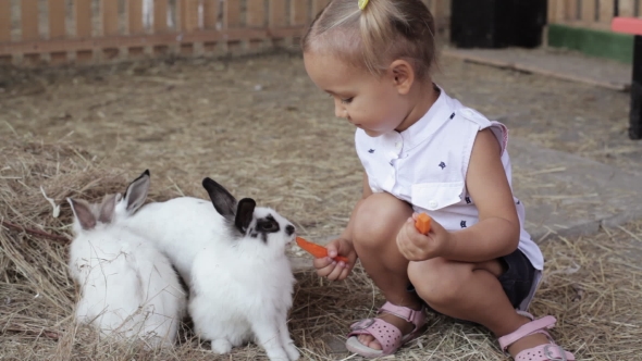 Cute Little Girl Feeding Rabbit From The Hand