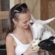 Young Women Feeding Sheeps And Goat From Hand - VideoHive Item for Sale