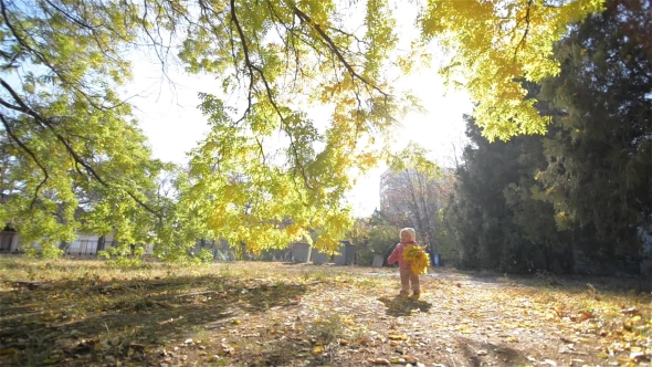 Little Girl Walking In The Park, Child Holding a Bouquet Of Yellow Leaves