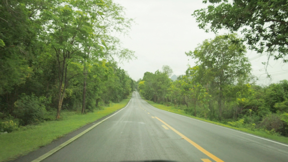 Car Driving In Forest alt