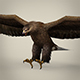 Game Ready Realistic Eagle - 3DOcean Item for Sale