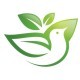Green Bird Logo Template - GraphicRiver Item for Sale