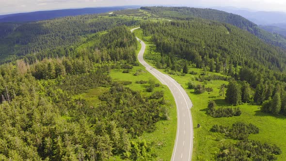 Aerial View Flying Over Two Lane Forest Road with Car Moving Green Trees of Woods Growing Both Sides